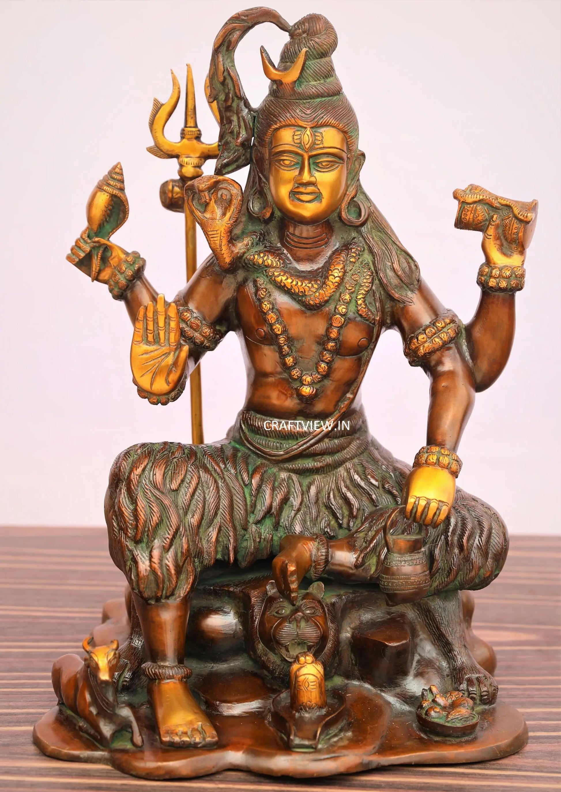 Brass Lord Shiva Statue 18" craftsview