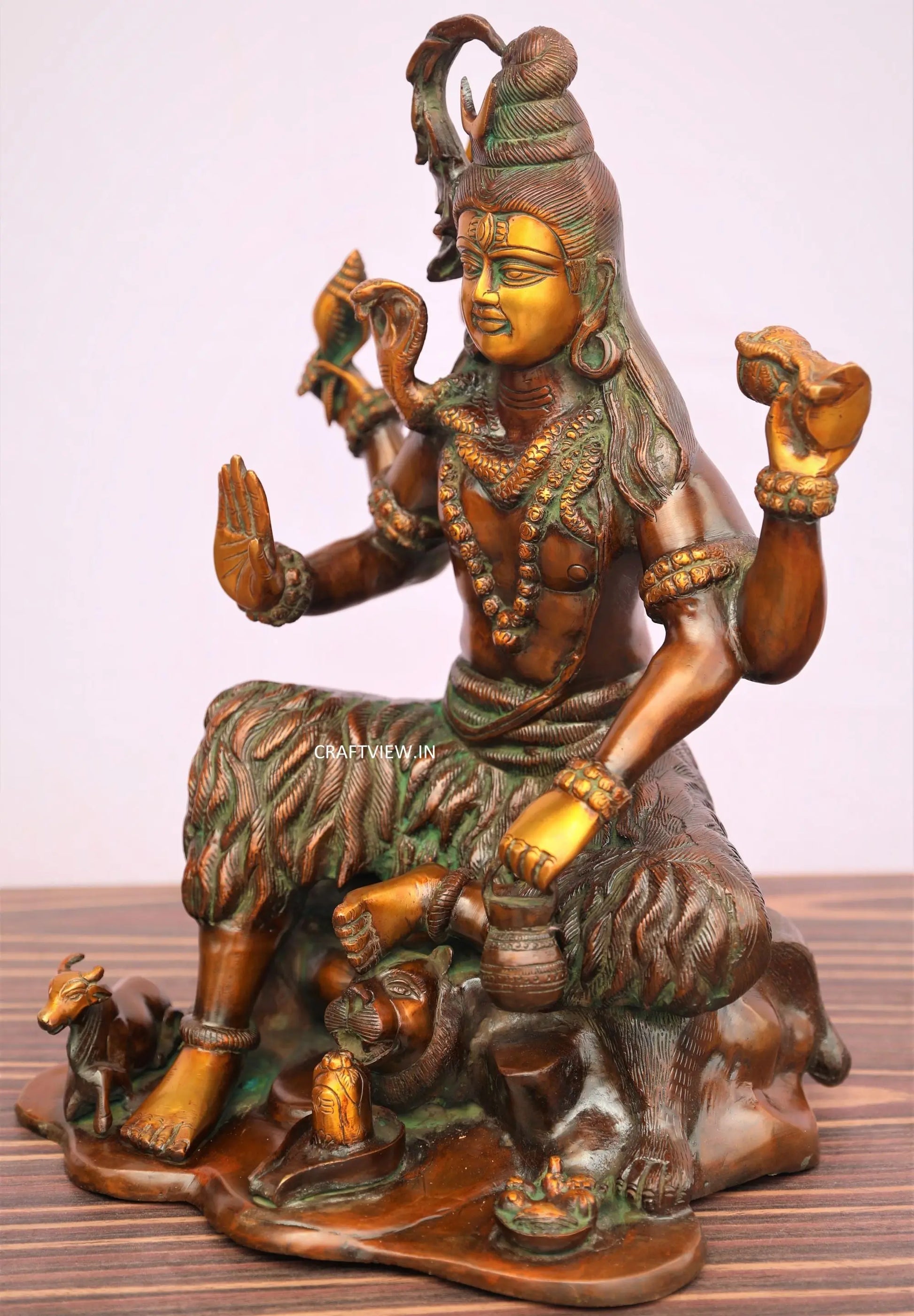 Brass Lord Shiva Statue 18" craftsview