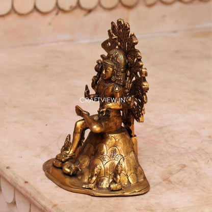 Dakshia Shiva Brass Statue 11.5" craftsview