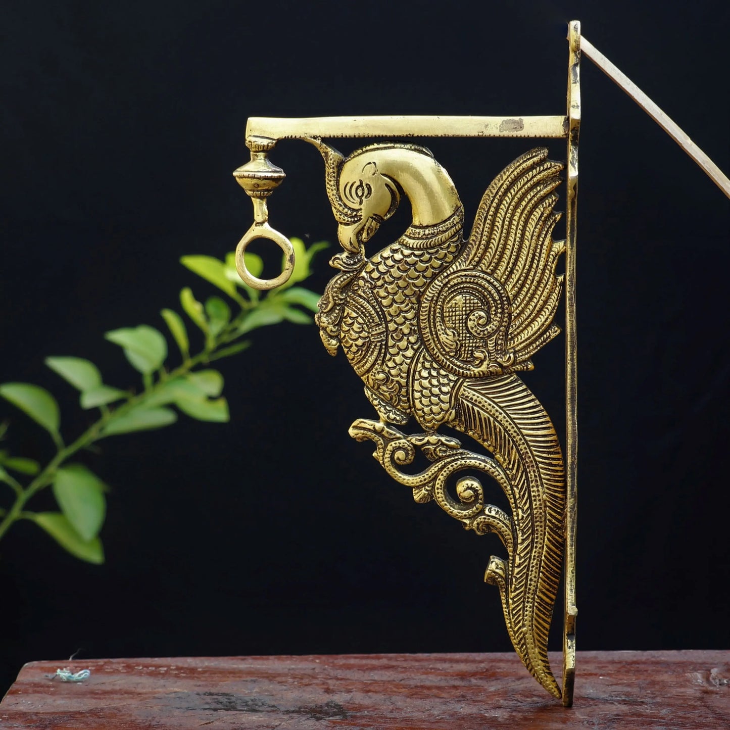 Brass Peacock Wall Bracket Ascents 12" craftsview