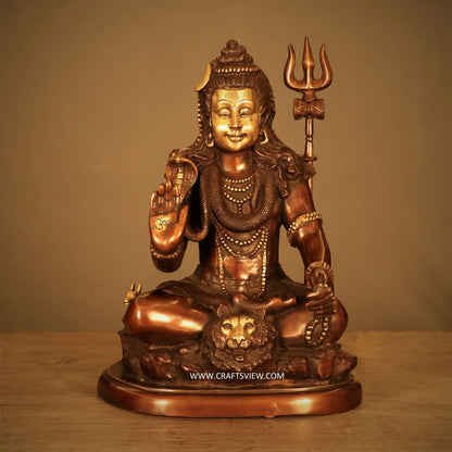 Brass Lord Shiva Statue 20" craftsview