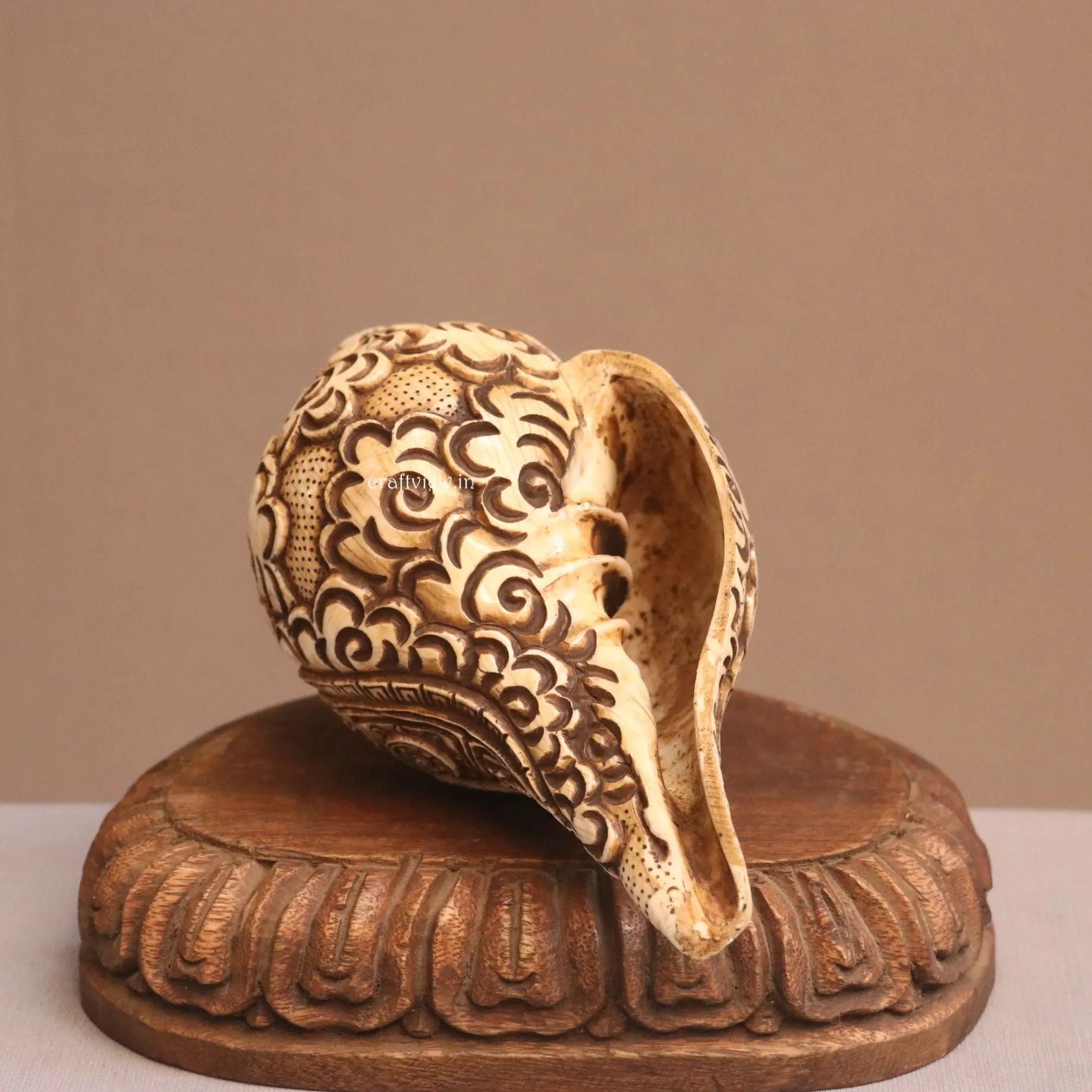 Hand Carved Natural Conch Shell for Tample craftsview