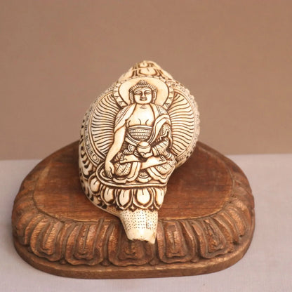 Pure Tibetan Natural Conch Hand Carved Buddha Statue craftsview